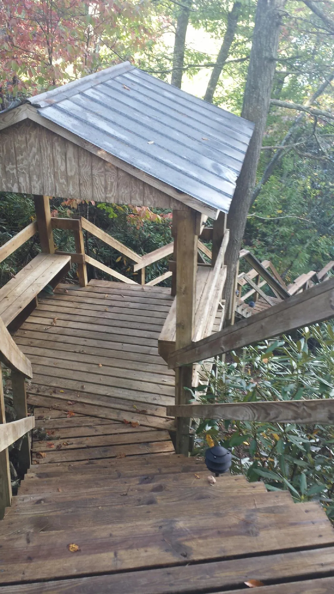 Metal roofed shelter over wooden steps on a wooded walkway — Skylight Repair & Installation work by our crew in Orviston