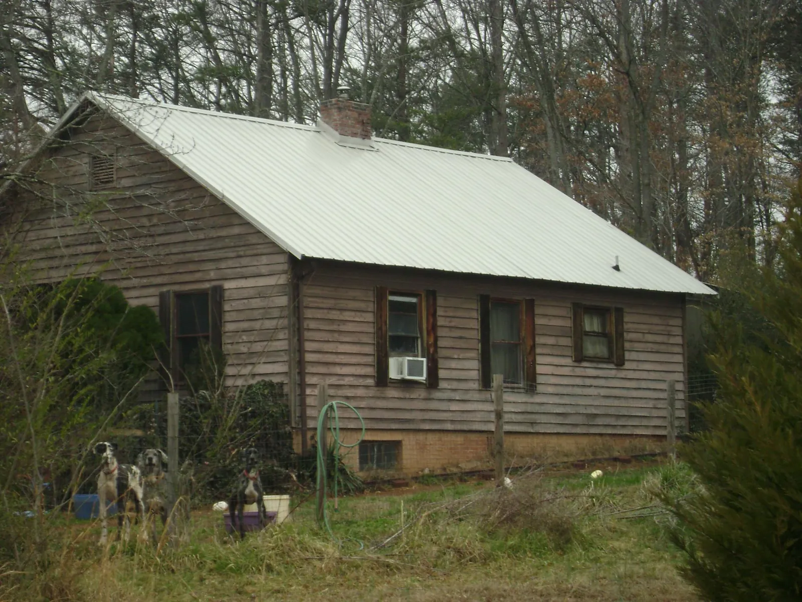 White metal roof on an old wood sided farmhouse, from a Asphalt Shingle Roof Repair job in Orviston